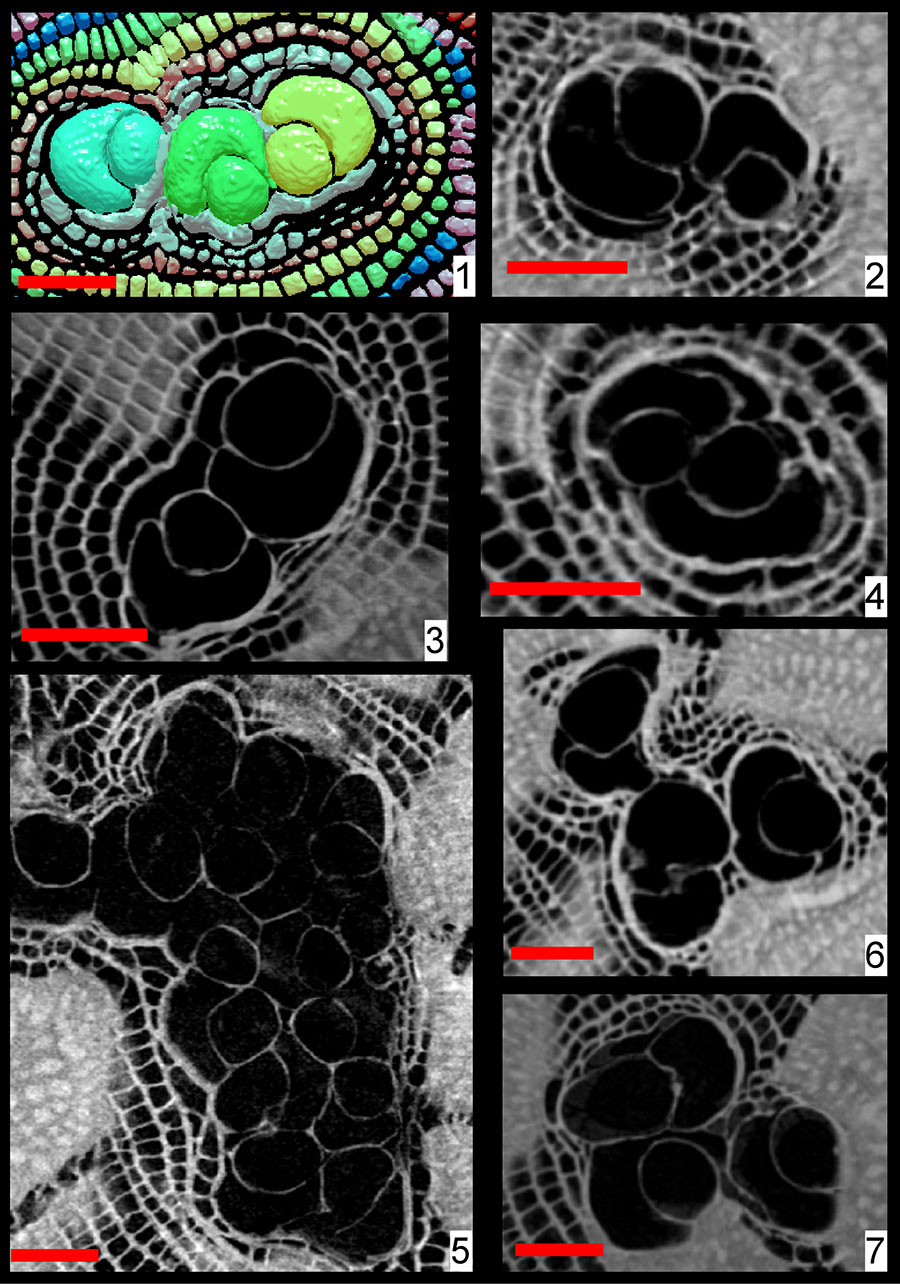 figure2