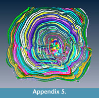 s appendix 5
