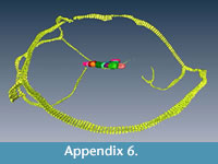 s appendix 6