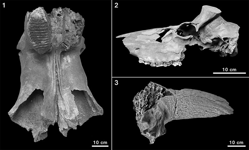 figure3