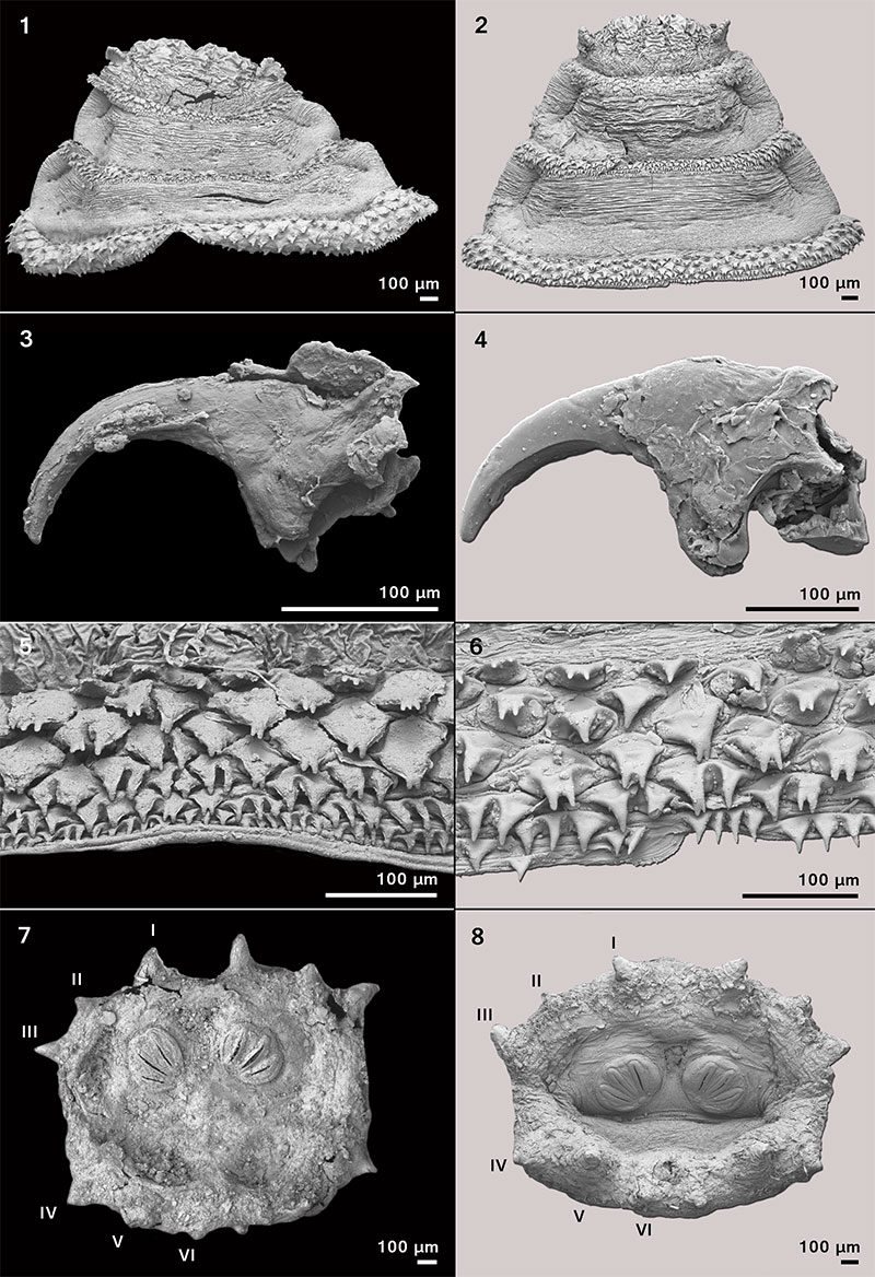 figure4