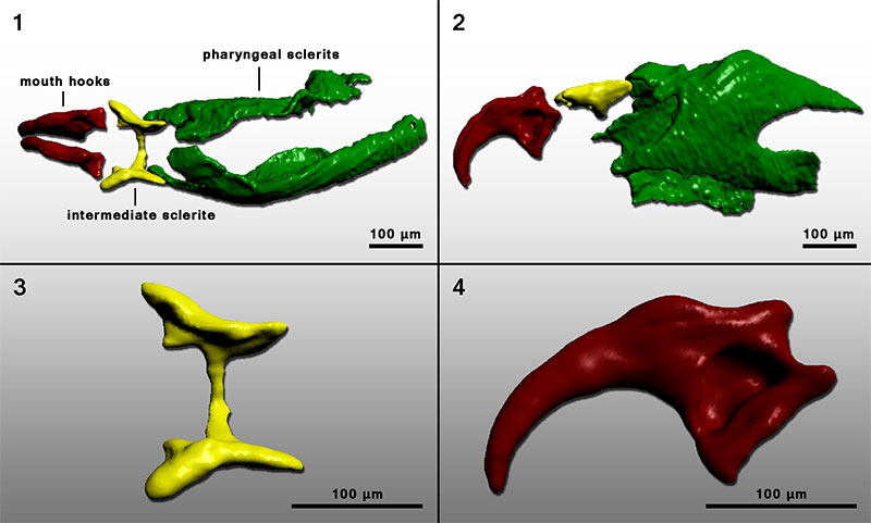 figure5 print