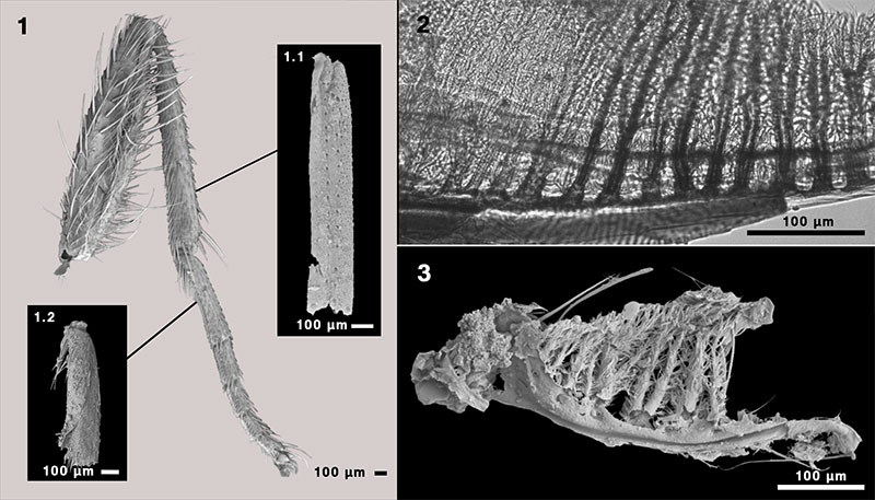 figure6