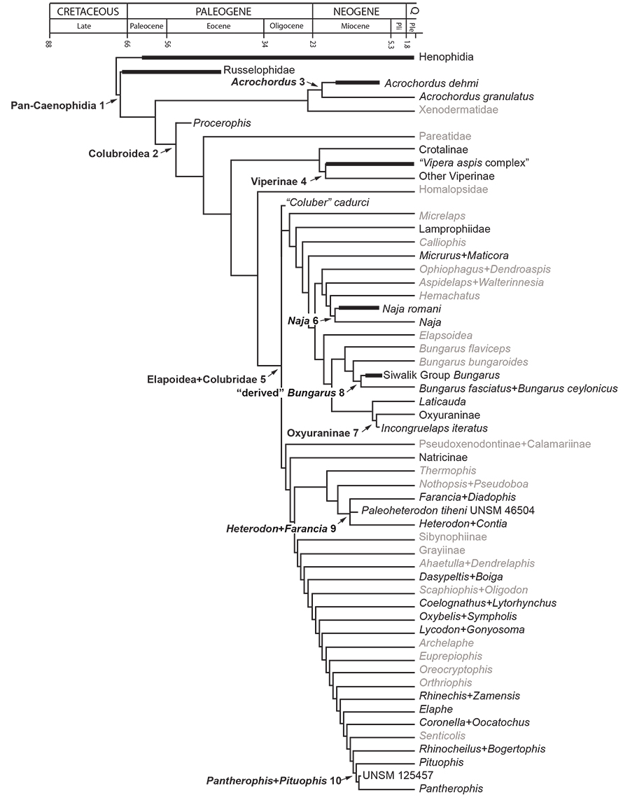 figure1