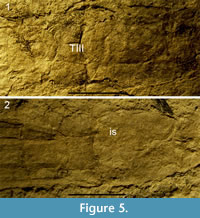 s figure5