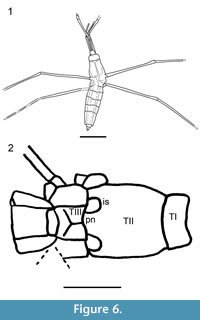 s figure6