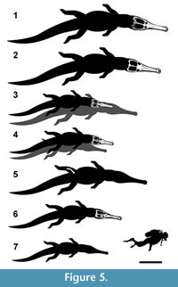 s figure5