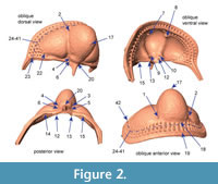 s figure2