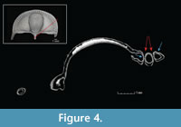 s figure4