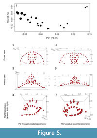 s figure5