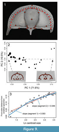 s figure9