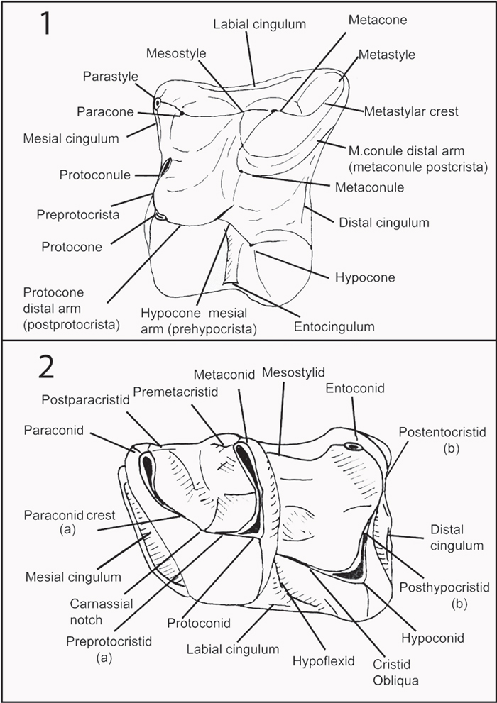 figure3a