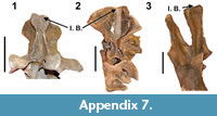 s appendix7