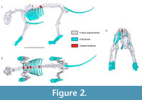 s figure2