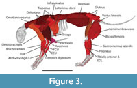 s figure3