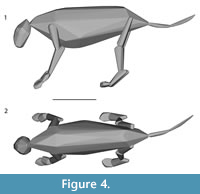 s figure4