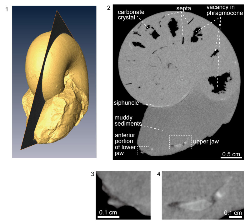 figure2