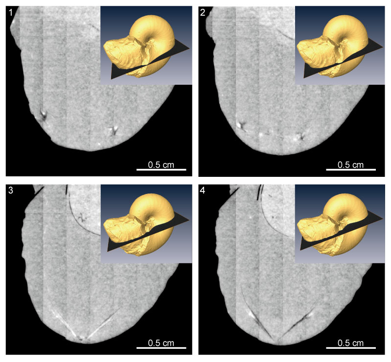 figure3