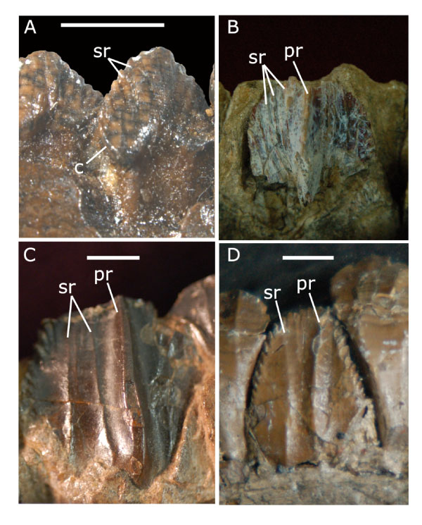 figure13