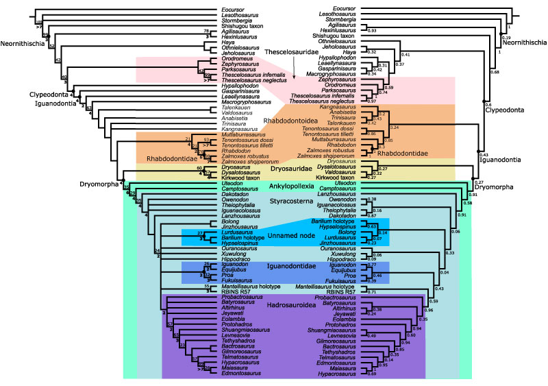 figure6