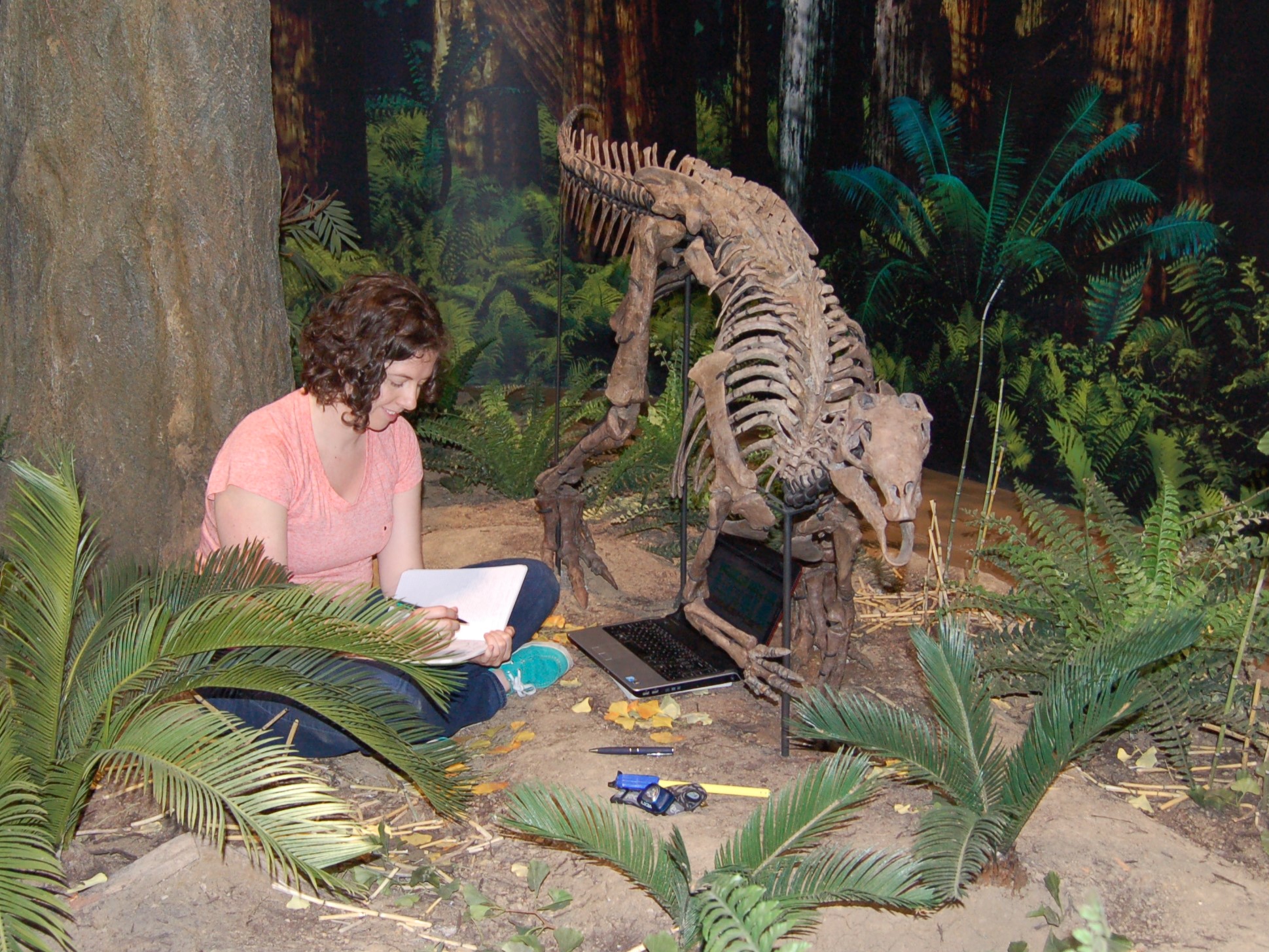 Dr Karen Poole sits in a museum working on a dinosaur specimen on display.