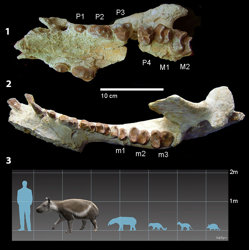 figure1