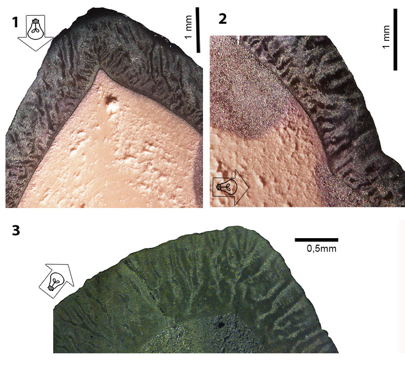 figure2