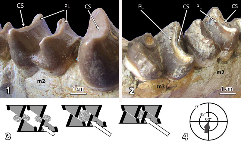 figure7