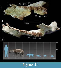 s figure1