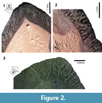 s figure2