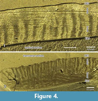 s figure4