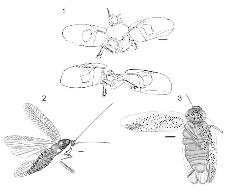 figure3