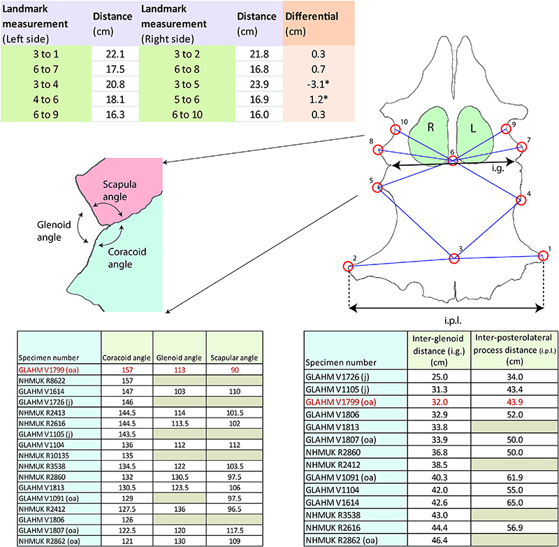 figure2