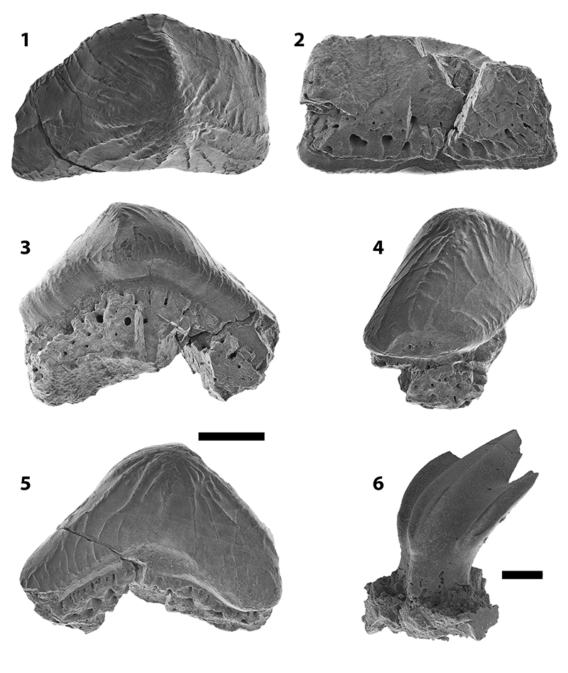 figure2