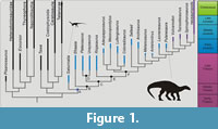 s figure1