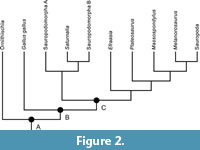 s figure2