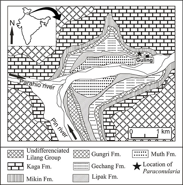 figure1