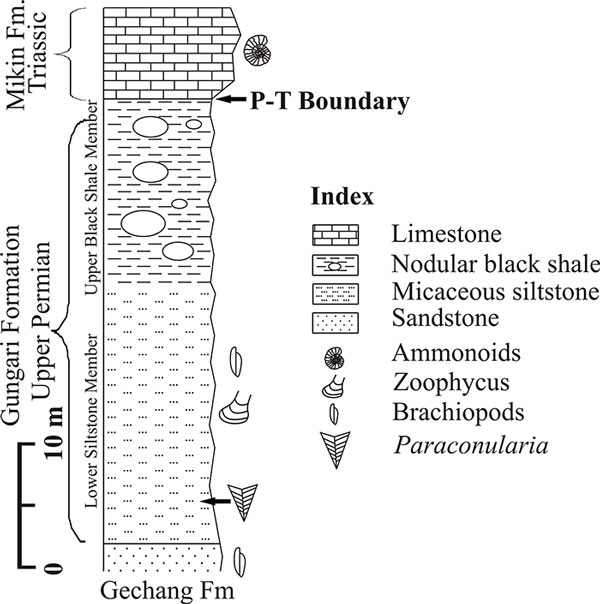 figure2