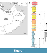 s figure1