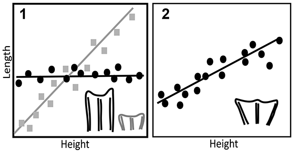 figure2