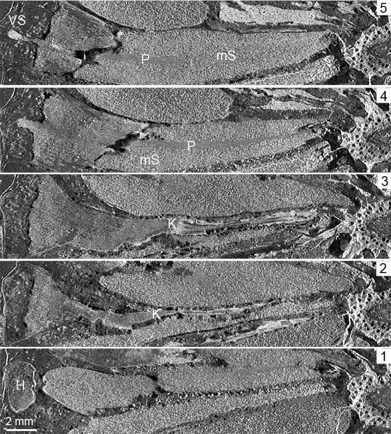 figure3