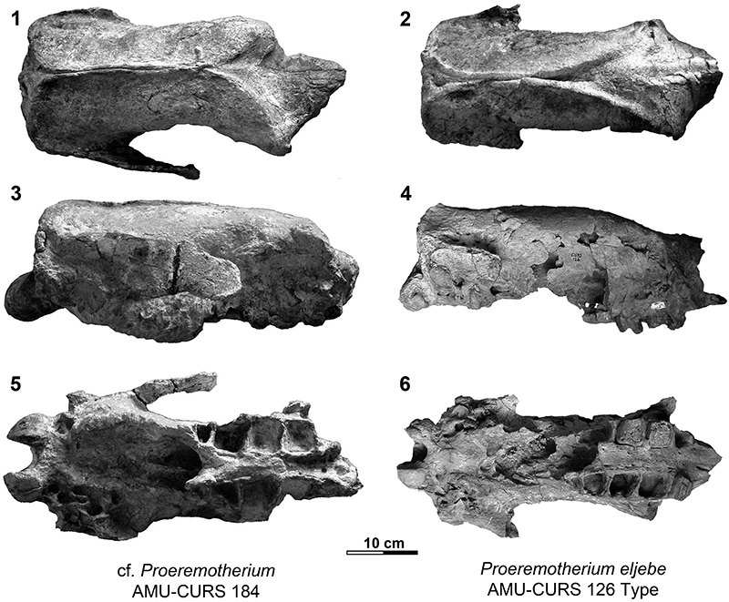 figure2