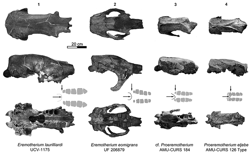 figure3