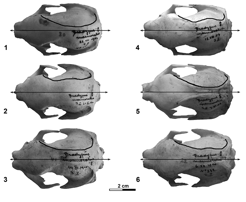 figure4