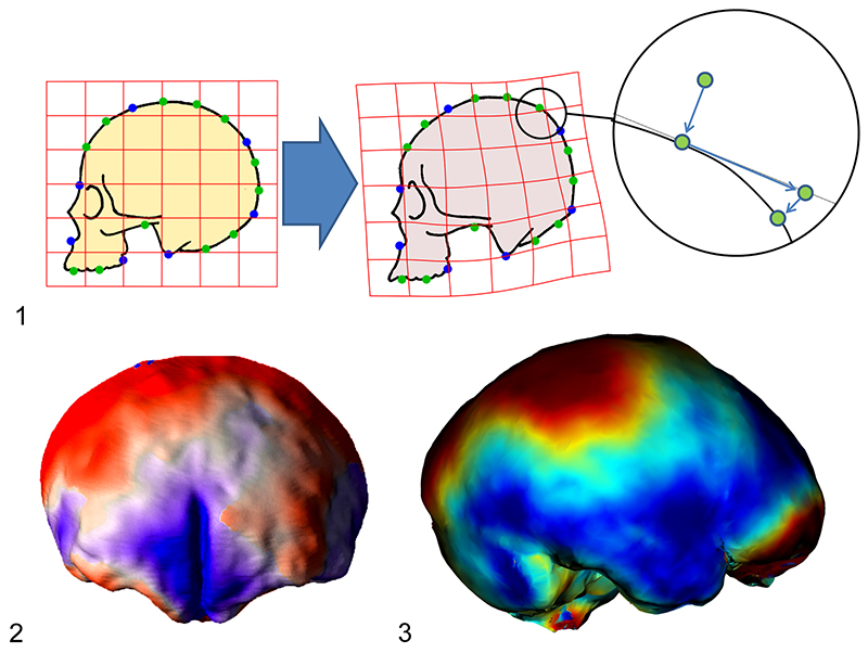 figure1