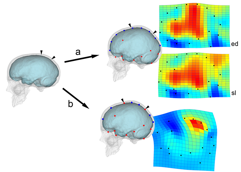 figure3