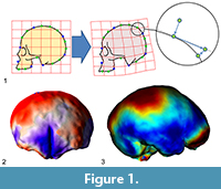 sfigure1