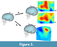 sfigure3