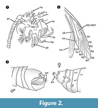 s figure2