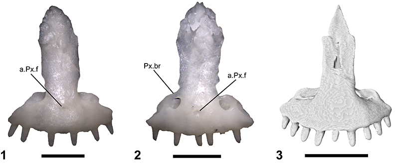 figure3